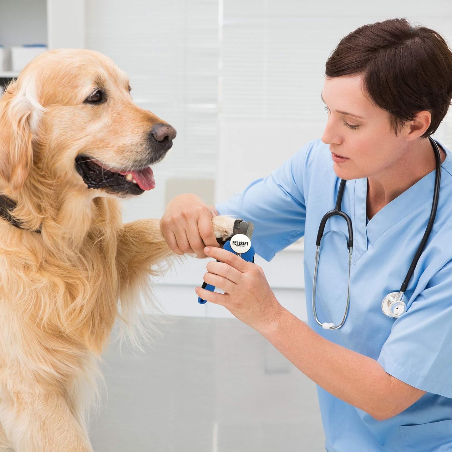 Dog & Cat Pets Nail Clippers and Trimmers - with Safety Guard to Avoid over Cutting, Bonus Nail File - Essential Puppies Supplies Grooming Kit