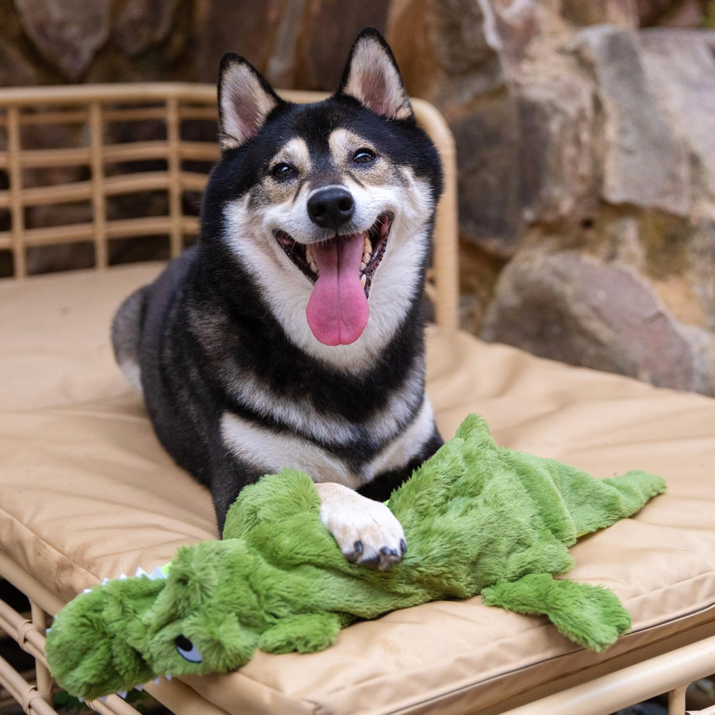 2-In-1 Stuffless Squeaky Dog Toys with Soft, Durable Fabric for Small, Medium, and Large Pets, No Stuffing for Indoor Play, Holds a Plastic Bottle - 1Wild Duck, Alligator, Medium