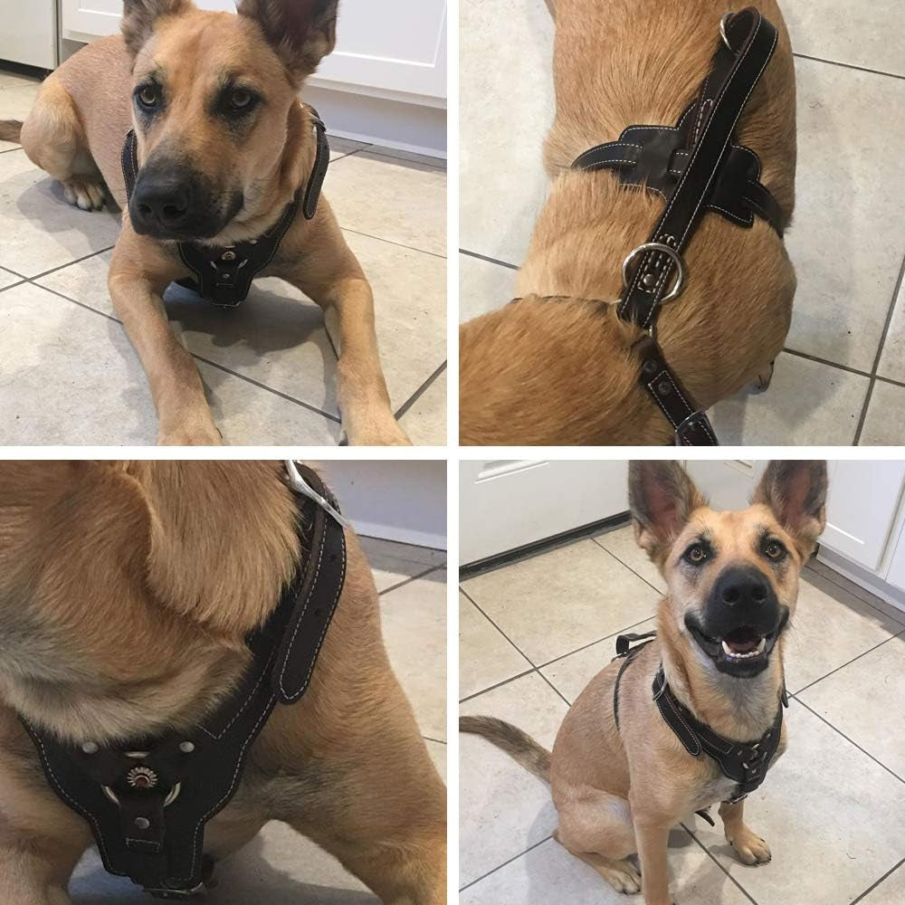 Leather Dog Harness Handmade Genuine Leather Durable Strong Pet Harness with Adjustable Straps No Pull Easy Control Pet Vest 28" - 32" Chest for Medium Large Dogs Black Halloween Crafts