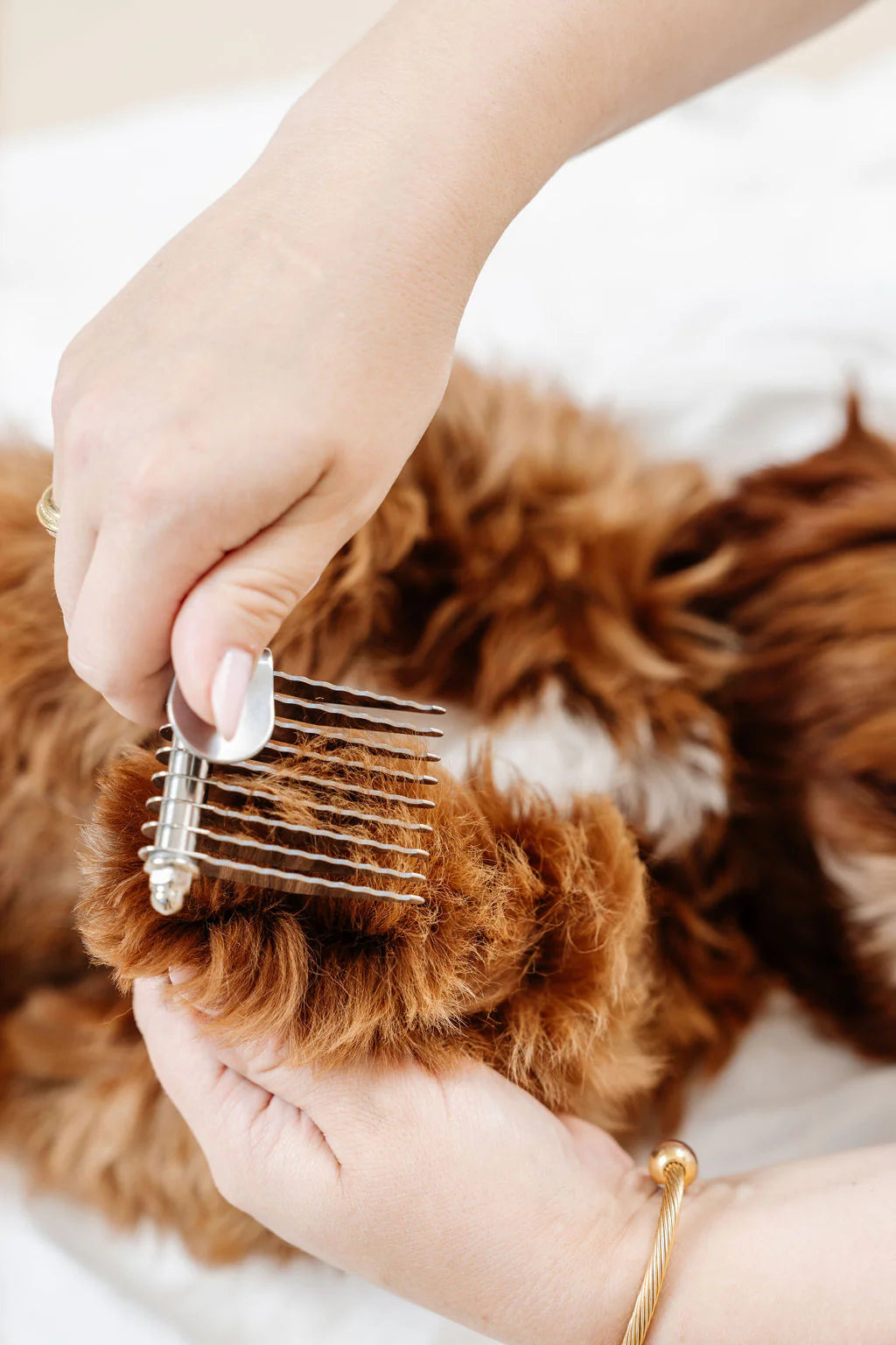 Ultimate Dog Grooming Kit