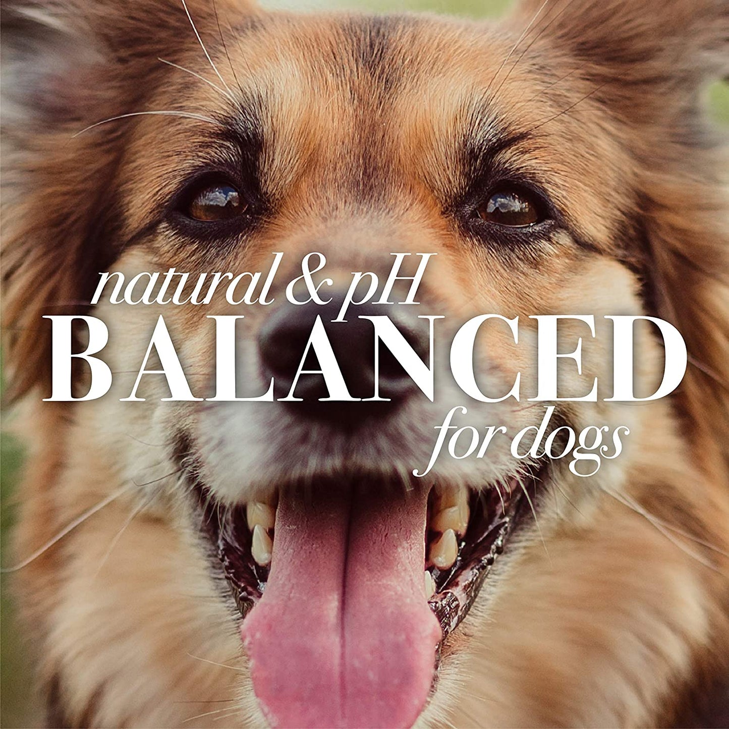 for Pets Naturally Derived Skin Soothing Shampoo with Honey - Dog Shampoo for All Dogs and Puppies - Safe for Dogs with Dry and Sensitive Skin - Made in USA, 16 Ounces