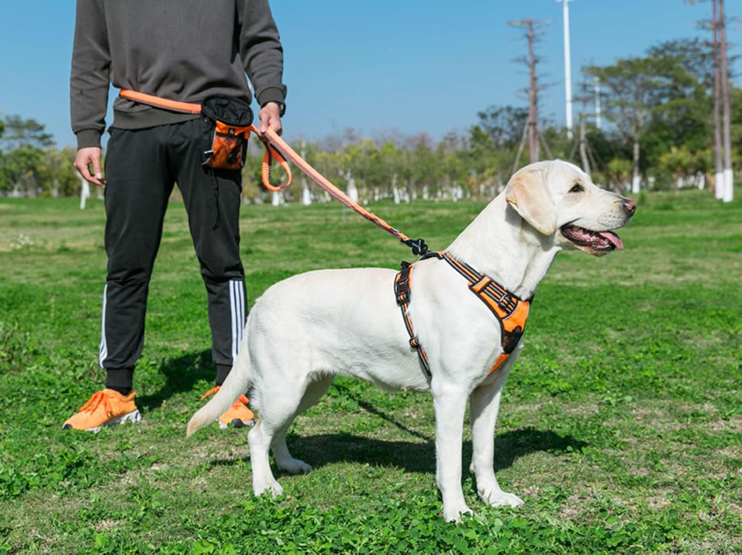 Truelove Adjustable No-Pull Dog Harness Reflective Pup Vest Harnesses Comfortable Control Brilliant Colors Tlh5651(Orange,M)