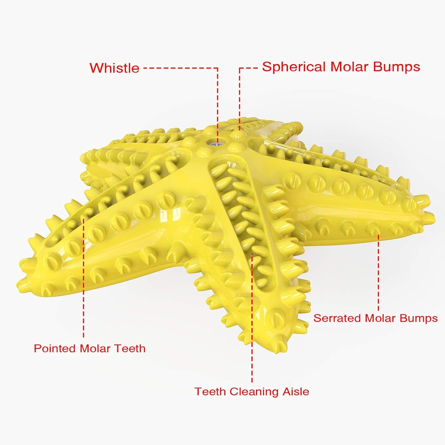 Dog Chew Toy - Squeaky Toothbrush Durable Rubber Dog Toys for Teeth Cleaning, Tough Dog Toys for Aggressive Chewers Puppy/Medium/Large Dog Breeds Dental Care