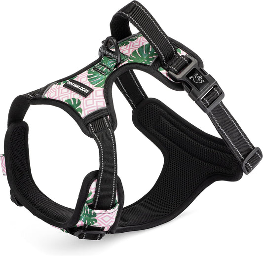No Pull Dog Harness, Adjustable and Easy to Walk, Cute Patterned Harness for Small Medium Large Male & Female Dogs - Laguna, Large