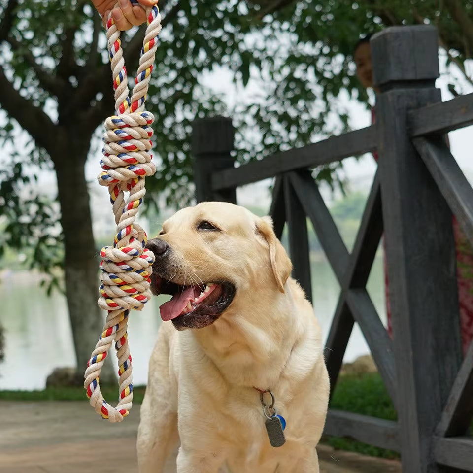 Bite-Resistant Dog Rope Knot Toys Interactive Pet Toys for Medium Large Dogs Colorful Dog Molar Toy Chewing Toy Dog Accessories
