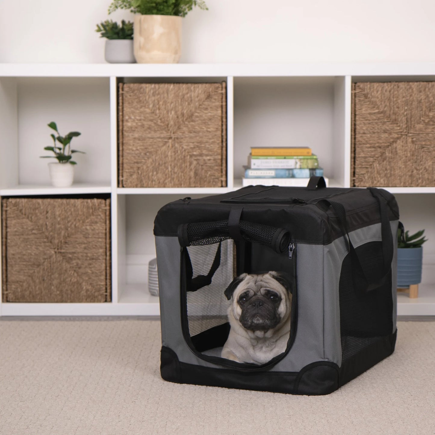 ® Pet Products Collapsible Pet Crate, Black, Large, 24 Lb Limit