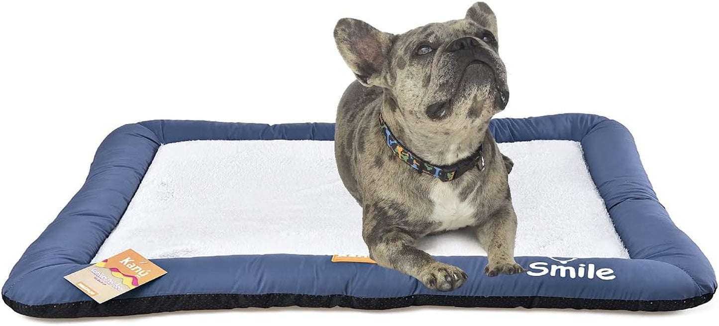 Dog Bed and Cat Bed, Washable Soft Dog Crates Soft Pet for Indoor and Outdoor - Large Blue