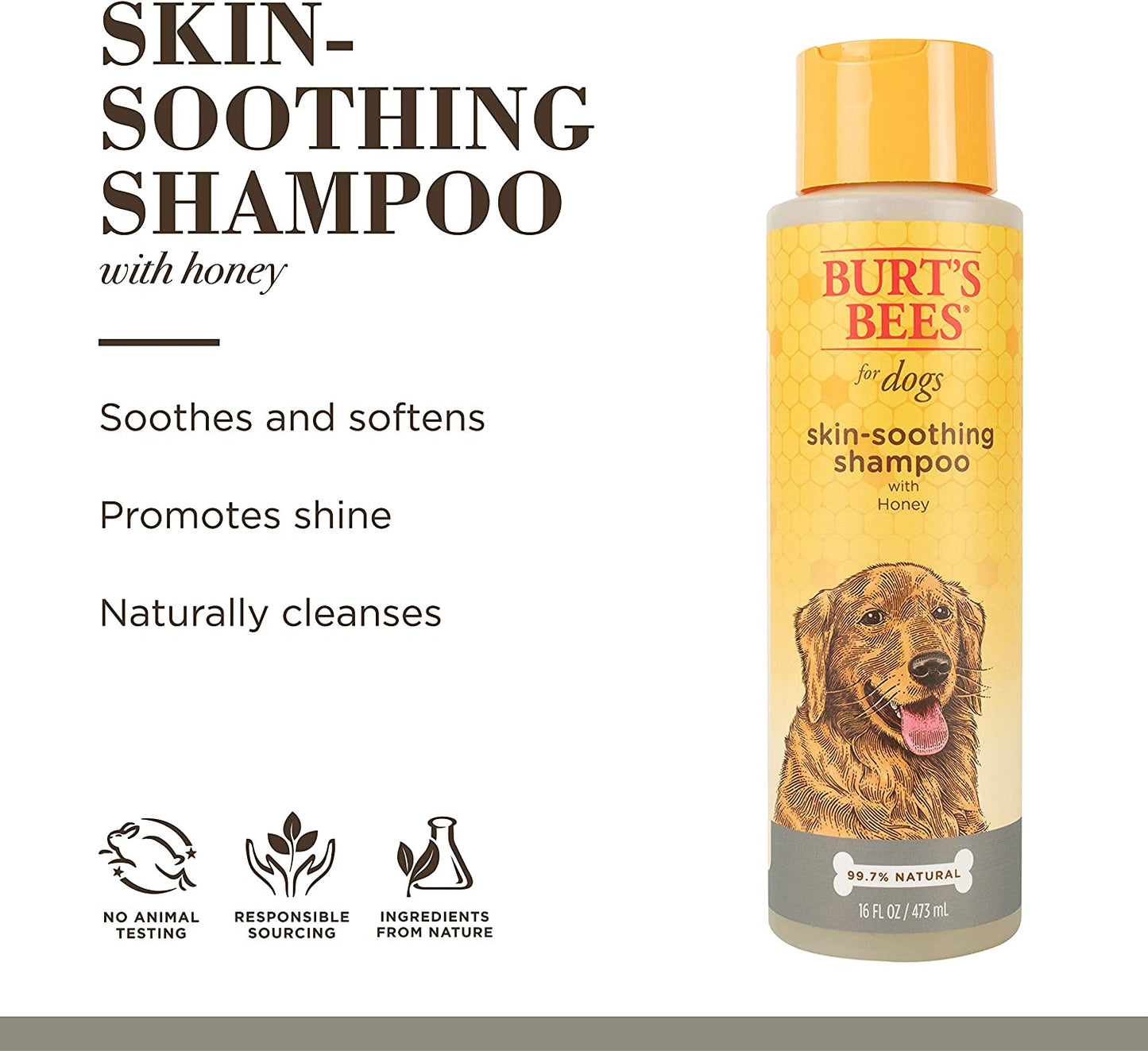 for Pets Naturally Derived Skin Soothing Shampoo with Honey - Dog Shampoo for All Dogs and Puppies - Safe for Dogs with Dry and Sensitive Skin - Made in USA, 16 Ounces