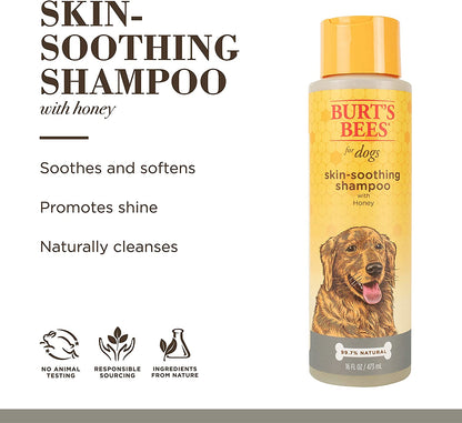 for Pets Naturally Derived Skin Soothing Shampoo with Honey - Dog Shampoo for All Dogs and Puppies - Safe for Dogs with Dry and Sensitive Skin - Made in USA, 16 Ounces