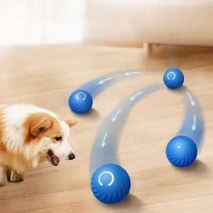 Dog Toys Intelligent Gravity Jump Ball Rechargeable Bite-Resistant Rolling Ball Cat and Dog Chase Interactive Pet Toys