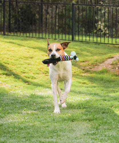 Smiling Loofa Halloween Plush Dog Toy with Squeaker, 2 Piece Multipack, Frankenstein and Mummy, 12"