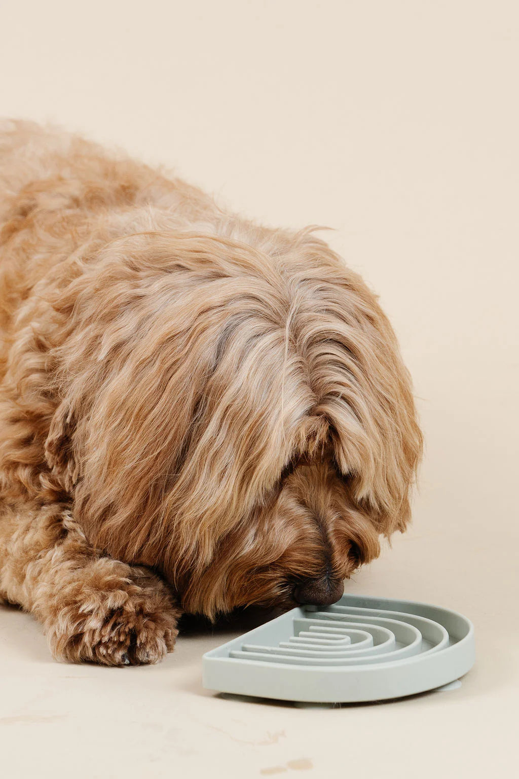 Ultimate Dog Grooming Kit