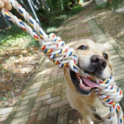 Bite-Resistant Dog Rope Knot Toys Interactive Pet Toys for Medium Large Dogs Colorful Dog Molar Toy Chewing Toy Dog Accessories