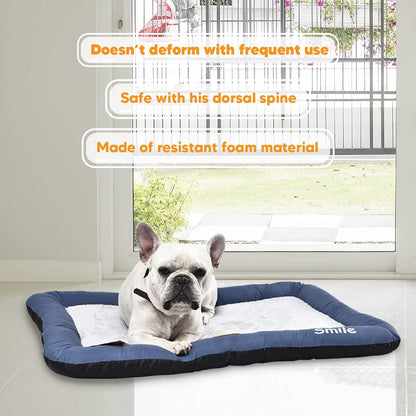 Dog Bed and Cat Bed, Washable Soft Dog Crates Soft Pet for Indoor and Outdoor - Large Blue