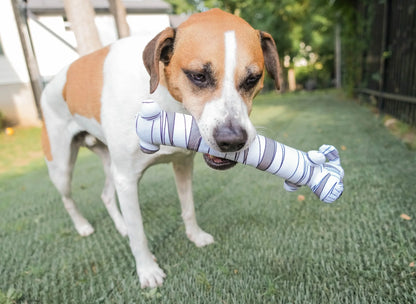 Smiling Loofa Halloween Plush Dog Toy with Squeaker, 2 Piece Multipack, Frankenstein and Mummy, 12"