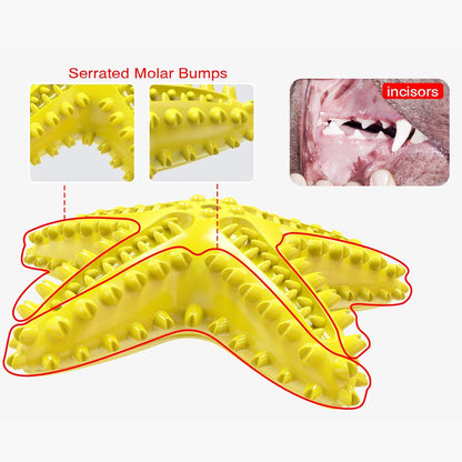 Dog Chew Toy - Squeaky Toothbrush Durable Rubber Dog Toys for Teeth Cleaning, Tough Dog Toys for Aggressive Chewers Puppy/Medium/Large Dog Breeds Dental Care