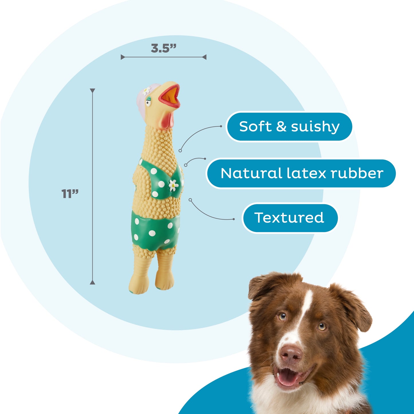 Outward Hound by Charming Pet Squawkers Grandma Hippie Chick Latex Rubber Chicken Interactive Dog Toy, Large
