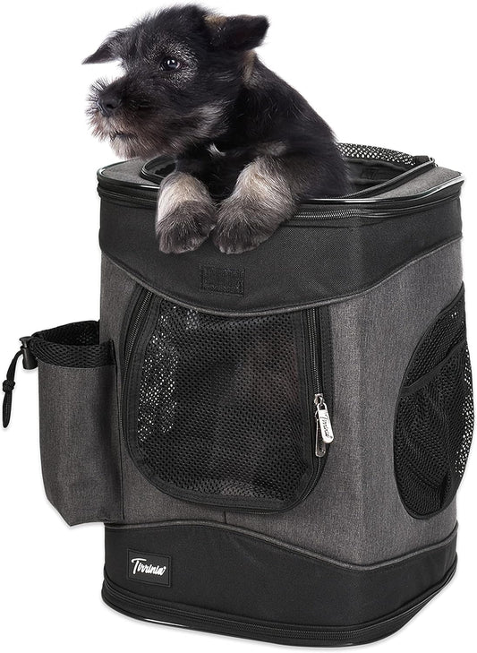 Two-Sided Entry Pet Backpack Travel Carrier for Cats & Small Dogs, Airline-Approved, Padded Back Support, Ideal for Hiking, Walking, Cycling & Outdoor Adventures