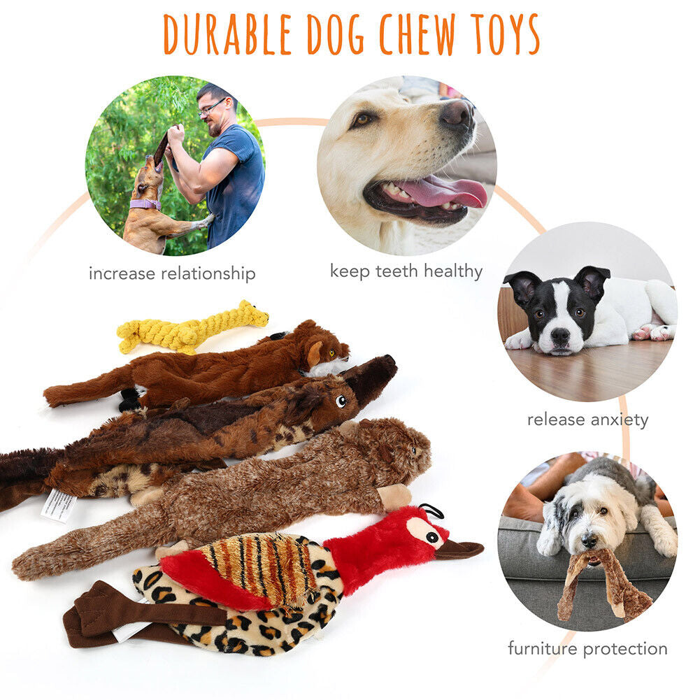 Dog Squeaky Toys 5 Pack Pet Toys Dog Toy No Stuffing Animals Plush Chew Durable