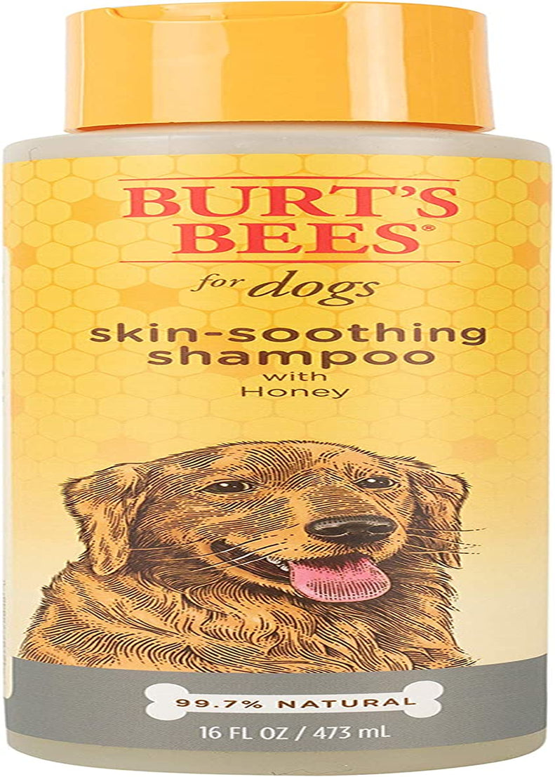 for Pets Naturally Derived Skin Soothing Shampoo with Honey - Dog Shampoo for All Dogs and Puppies - Safe for Dogs with Dry and Sensitive Skin - Made in USA, 16 Ounces