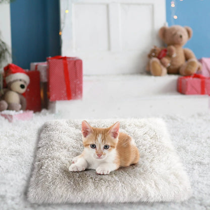 Dog Bed for Large Dogs, Cozy Calming Pet Bed for Dogs & Cats: Self-Warming, Anti-Anxiety, Non-Slip and Machine Washable 24X20 Inch