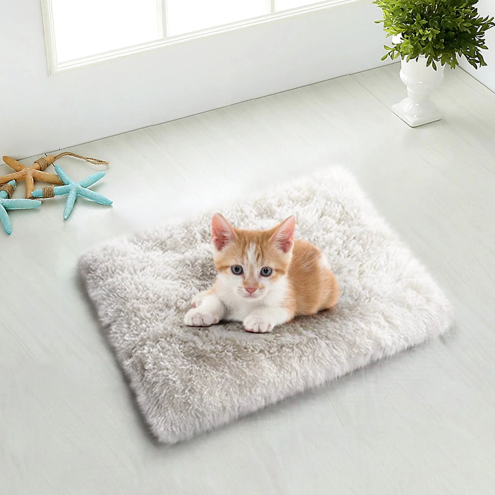 Dog Bed for Large Dogs, Cozy Calming Pet Bed for Dogs & Cats: Self-Warming, Anti-Anxiety, Non-Slip and Machine Washable 24X20 Inch