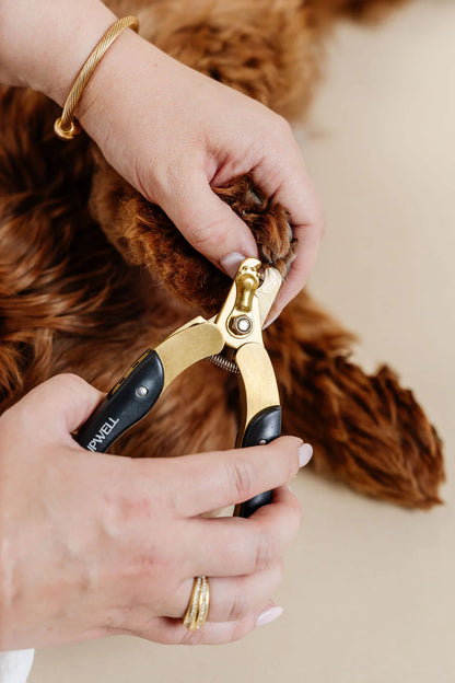 Ultimate Dog Grooming Kit