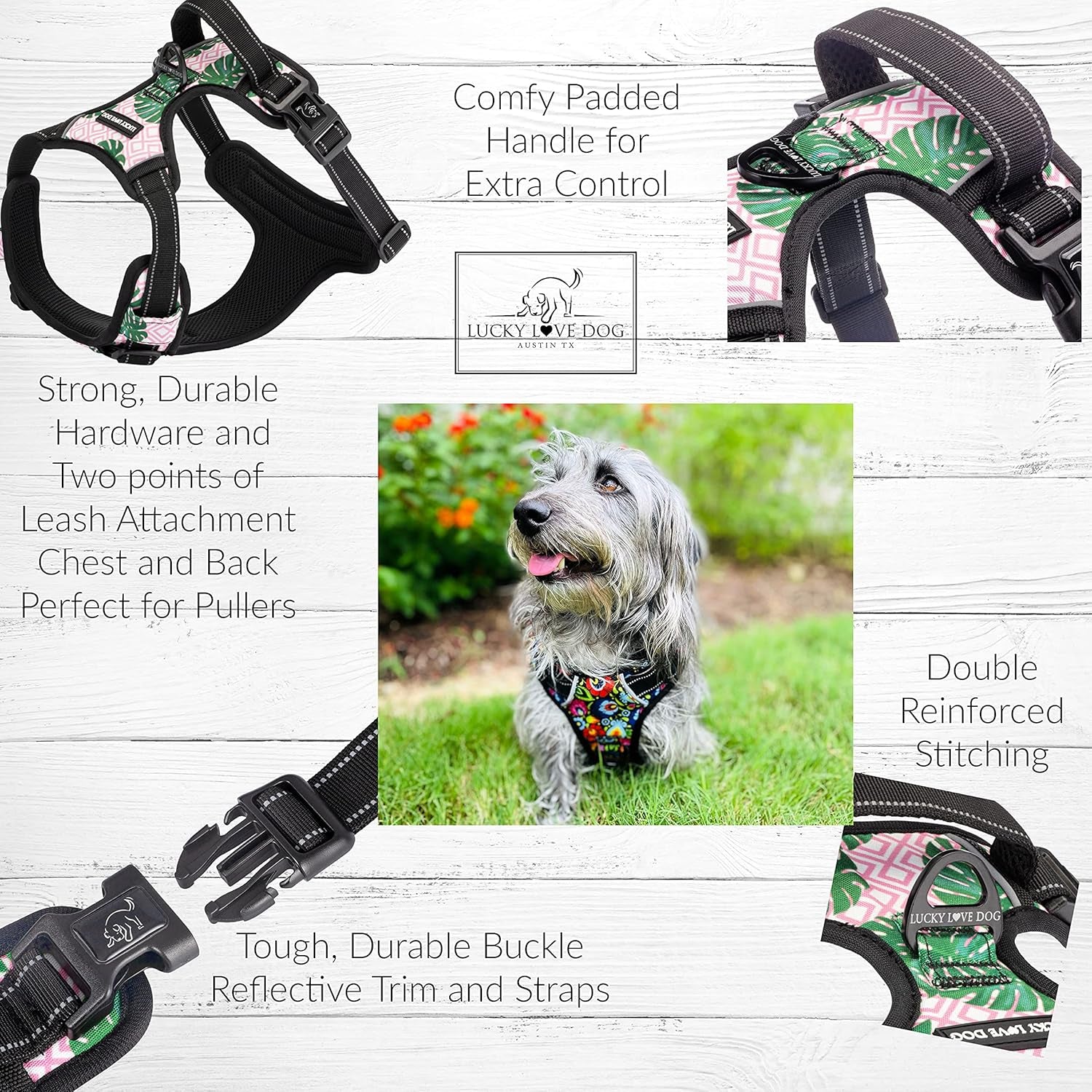No Pull Dog Harness, Adjustable and Easy to Walk, Cute Patterned Harness for Small Medium Large Male & Female Dogs - Laguna, Large