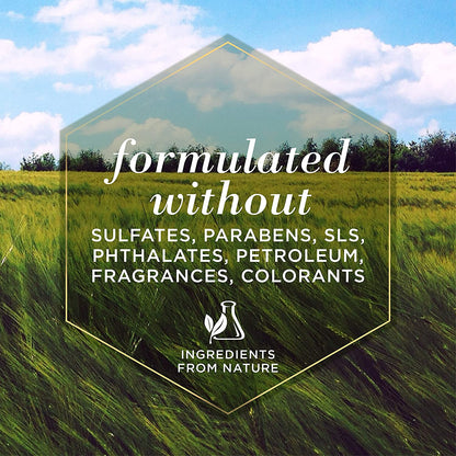 for Pets Naturally Derived Skin Soothing Shampoo with Honey - Dog Shampoo for All Dogs and Puppies - Safe for Dogs with Dry and Sensitive Skin - Made in USA, 16 Ounces