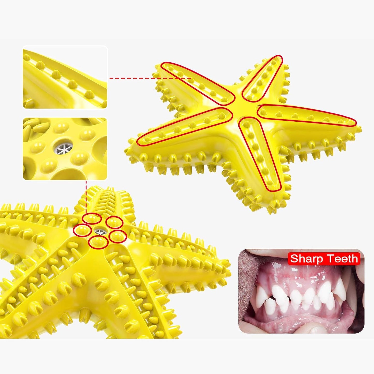 Dog Chew Toy - Squeaky Toothbrush Durable Rubber Dog Toys for Teeth Cleaning, Tough Dog Toys for Aggressive Chewers Puppy/Medium/Large Dog Breeds Dental Care