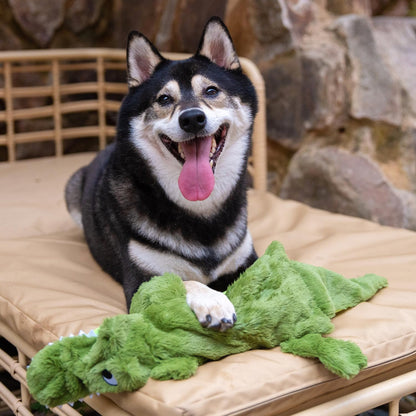 2-In-1 Stuffless Squeaky Dog Toys with Soft, Durable Fabric for Small, Medium, and Large Pets, No Stuffing for Indoor Play, Holds a Plastic Bottle - 1Wild Duck, Alligator, Medium