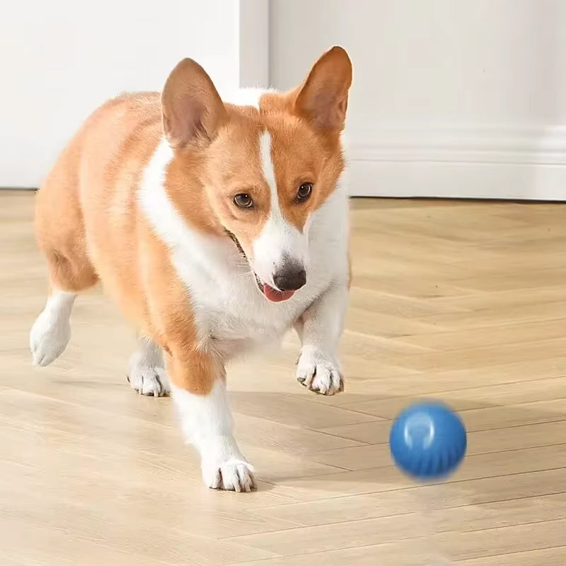 Dog Toys Intelligent Gravity Jump Ball Rechargeable Bite-Resistant Rolling Ball Cat and Dog Chase Interactive Pet Toys