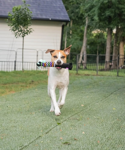 Smiling Loofa Halloween Plush Dog Toy with Squeaker, 2 Piece Multipack, Frankenstein and Mummy, 12"
