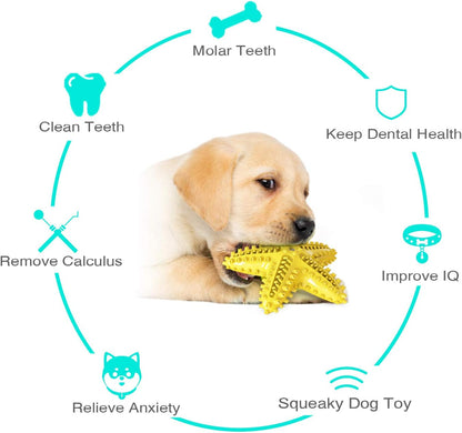 Dog Chew Toy - Squeaky Toothbrush Durable Rubber Dog Toys for Teeth Cleaning, Tough Dog Toys for Aggressive Chewers Puppy/Medium/Large Dog Breeds Dental Care